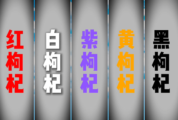 柴达木枸杞的“五彩天团”