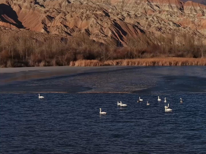 青海贵德:冬日丹霞湖泊相映成景